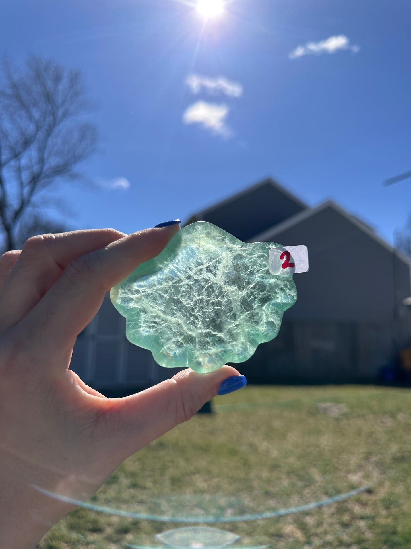 Fluorite Shell Bowl *YOU PICK*