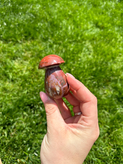 Petrified Wood Mushroom B