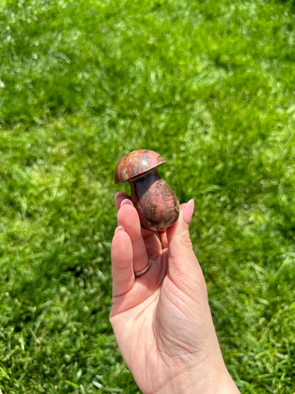 Petrified Wood Mushroom A