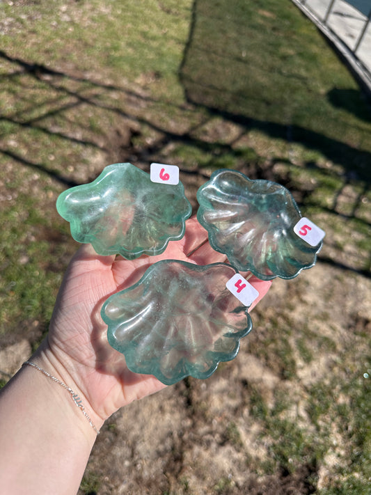 Fluorite Shell Bowl *YOU PICK*