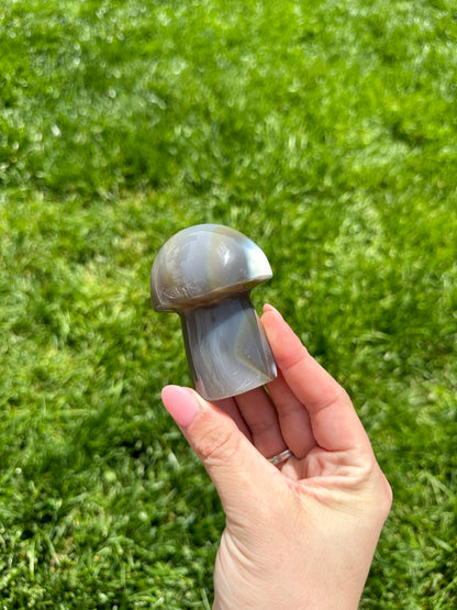 Banded Orca Agate Mushroom