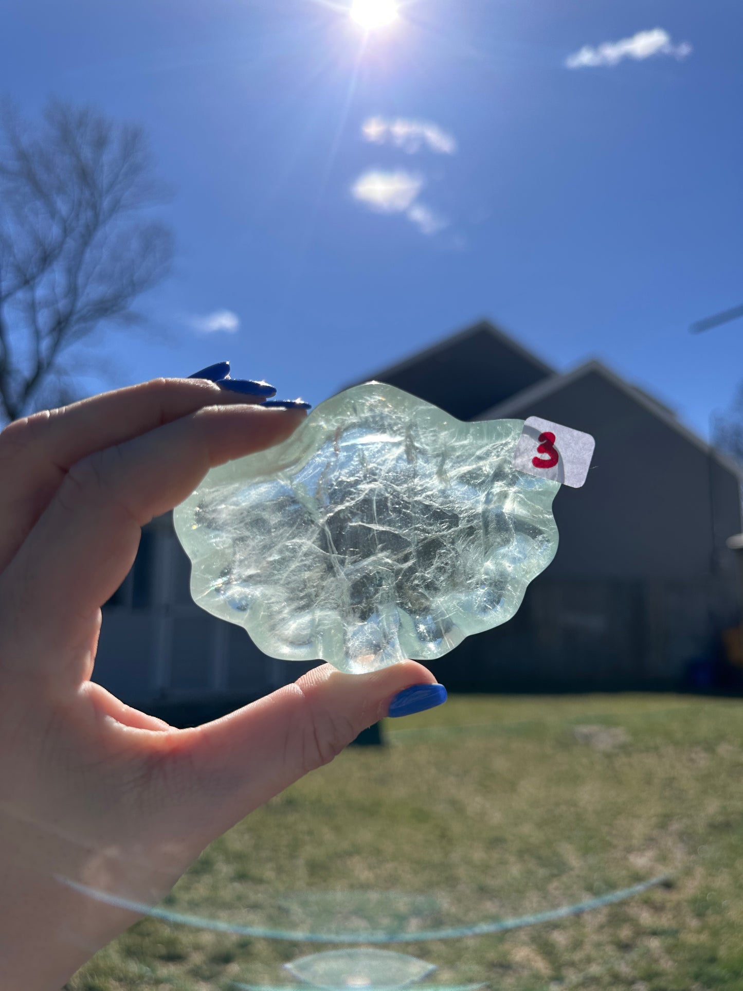 Fluorite Shell Bowl *YOU PICK*