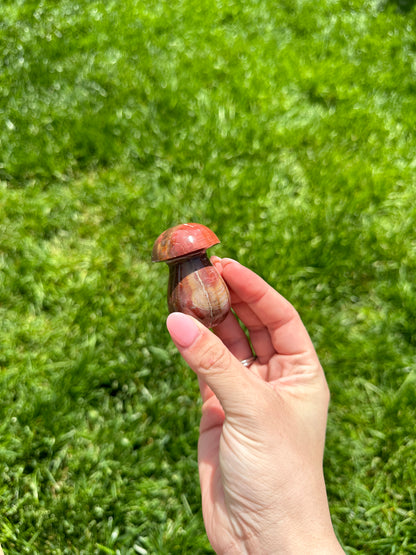 Petrified Wood Mushroom A