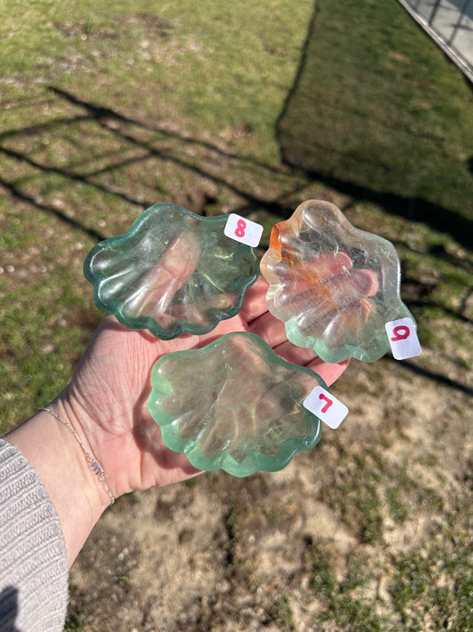 Fluorite Shell Bowl *YOU PICK*