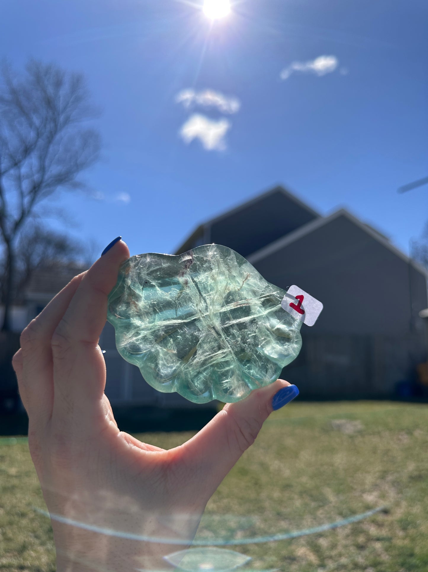 Fluorite Shell Bowl *YOU PICK*