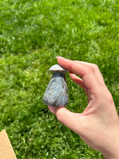 Blue Sea Jasper Mushroom