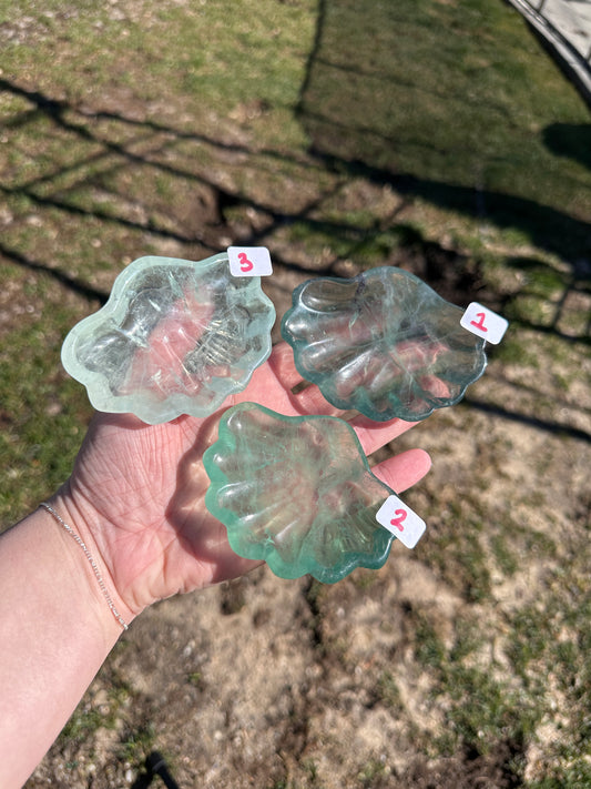 Fluorite Shell Bowl *YOU PICK*