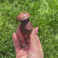 Petrified Wood Mushroom A