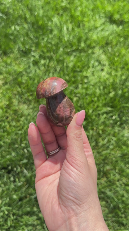 Petrified Wood Mushroom A