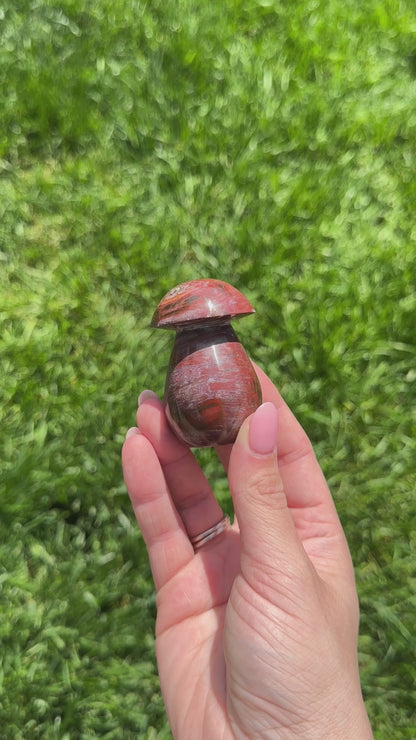 Petrified Wood Mushroom B