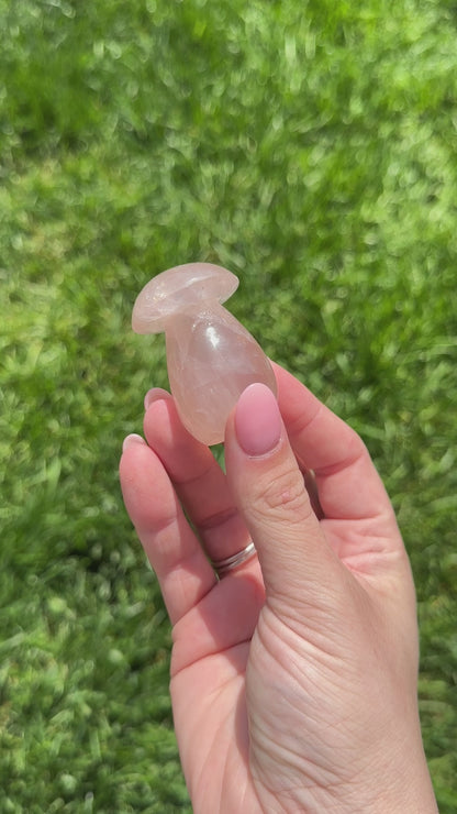 Rose Quartz Mushroom B