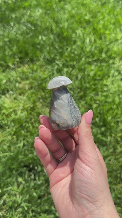 Blue Sea Jasper Mushroom